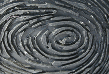 Foot Print