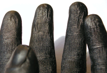 The Glove