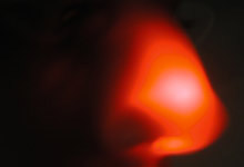 Nose